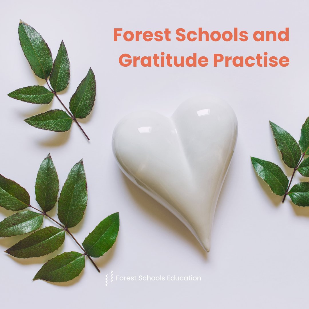 Forest Schools encourage participants to practice gratitude by asking them to reflect on the things they are thankful for in the natural environment around them. ❤️ What are you grateful for today? ✨ #forestschool #outdoorlearning #naturaleducation