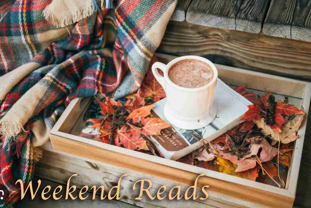 BookToScreenOnX's tweet photo. and onwards with a #writerslift! Add your books and links below for #BookLovers to get in those last weekend reads of 2023! Like and share to help each other out... https://t.co/EB8Aemkd9n