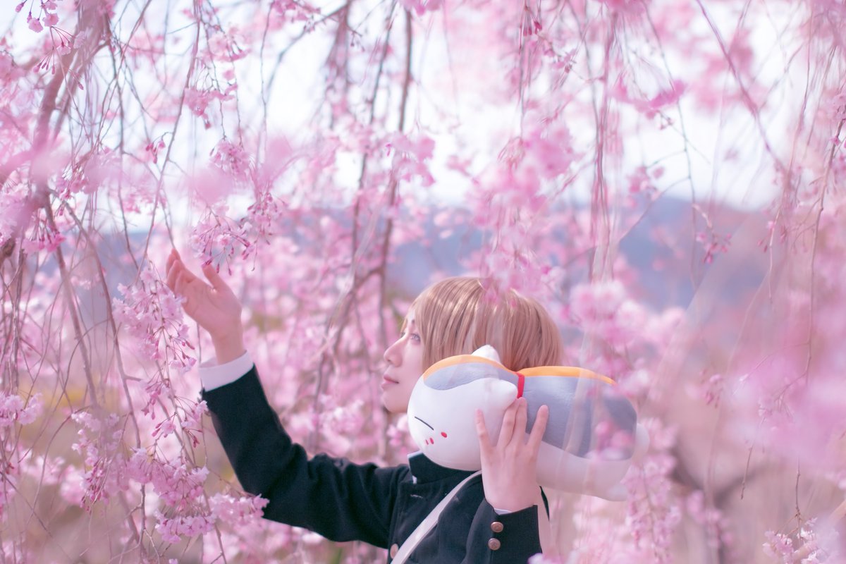 kyoo03mi's tweet photo. 夏目友人帳/cosplay

春夏秋冬
巡る季節はとても素晴らしく優しさに溢れていた

photo シンゴさん@yo_shingo https://t.co/GMpwns5YP4