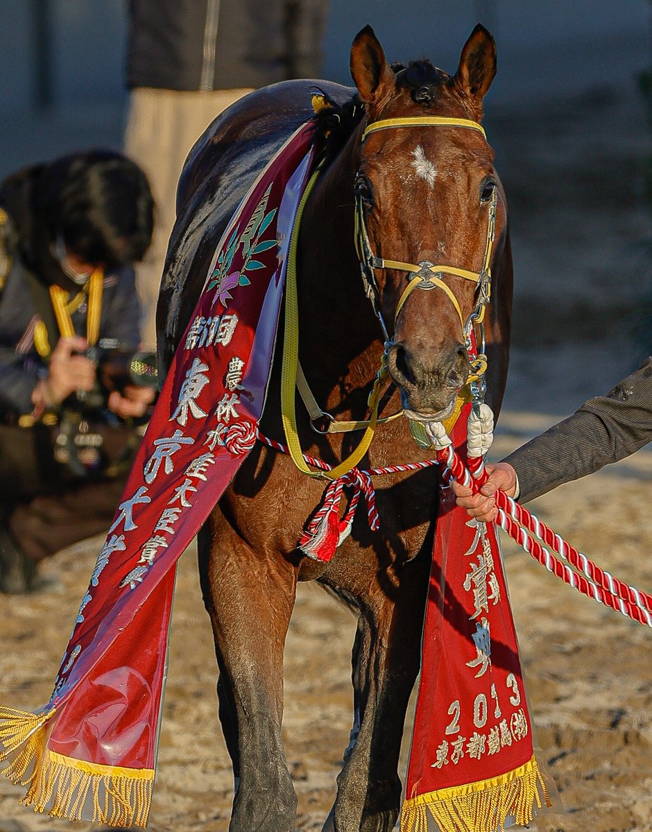 東京大賞典連覇を果たしたウシュバテソーロ 西日に照らされた