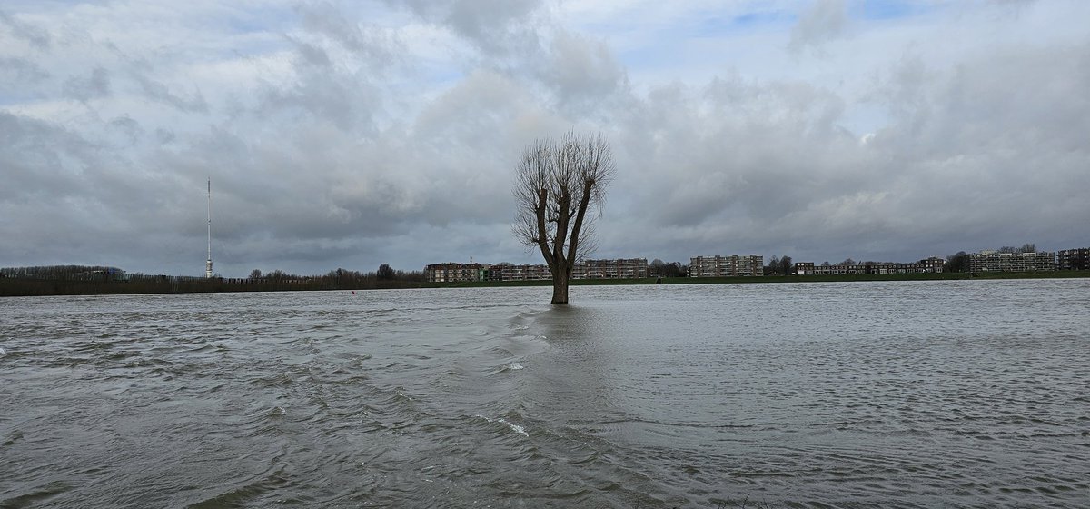 robindepobbin's tweet photo. Voorlopig het hoogste peil. #Hoogwater #Vianen https://t.co/TtUiayiEH1