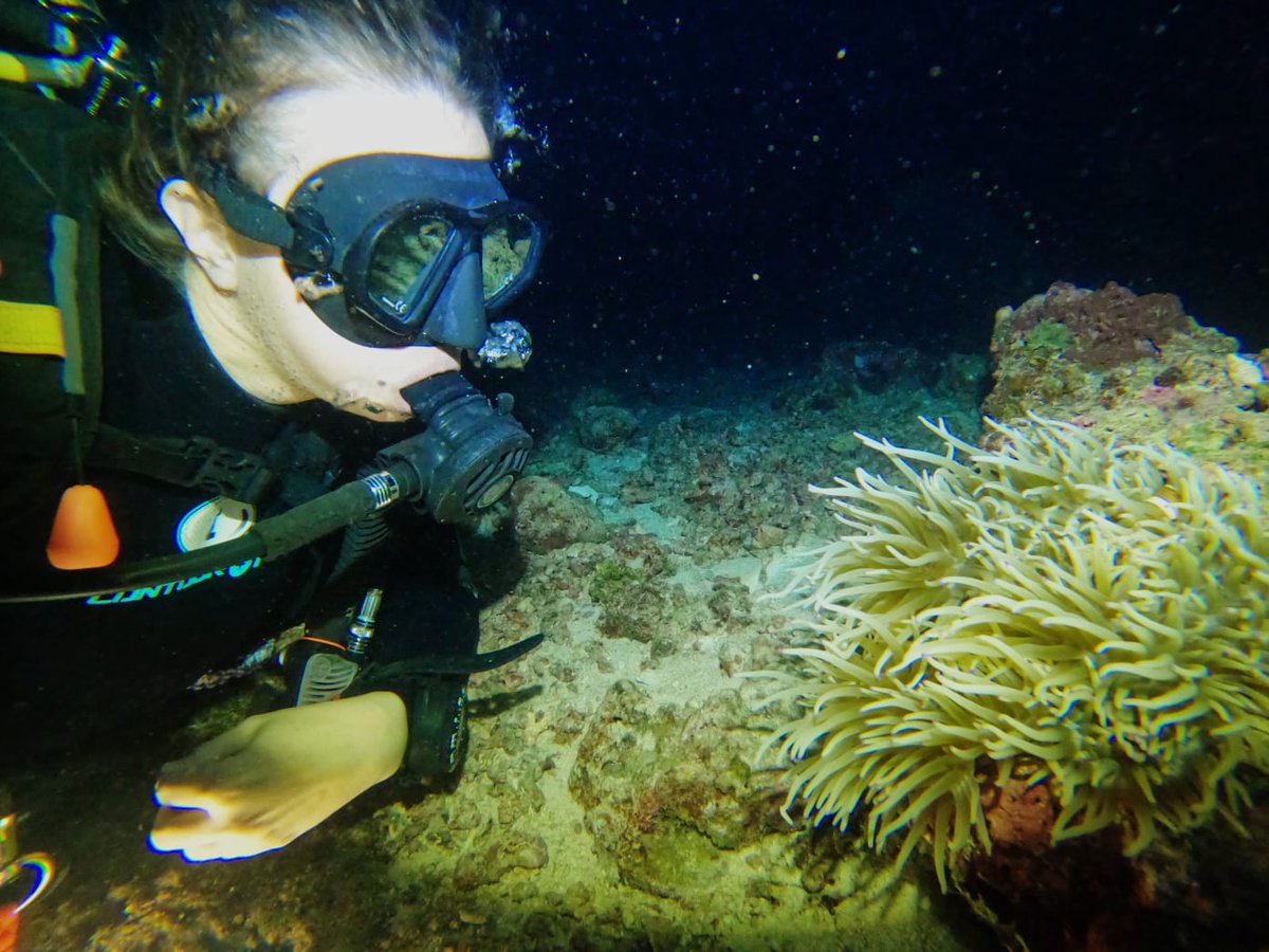 I've been having a fabulous holiday. Completed my Advanced Open WaterDiving Certification and Speciality Diver programmes for deep diving, nitrox, navigation and limited visibility and night diving. Thresher shark dives were a highlight! #SSI #Scuba #Diving #Underthesea