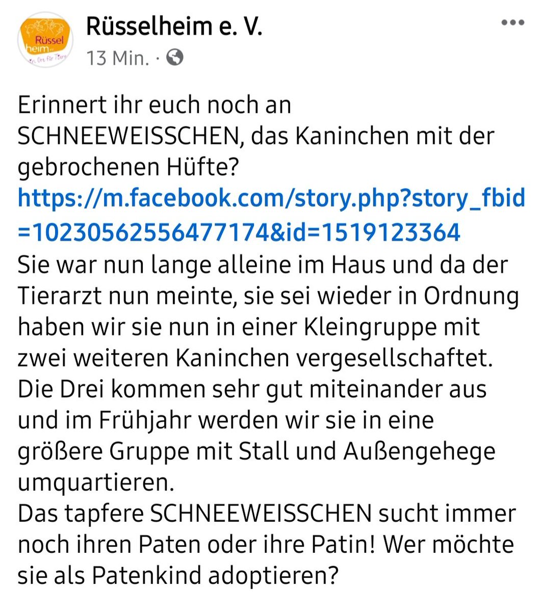 Rüsselheim e. V. tweet media