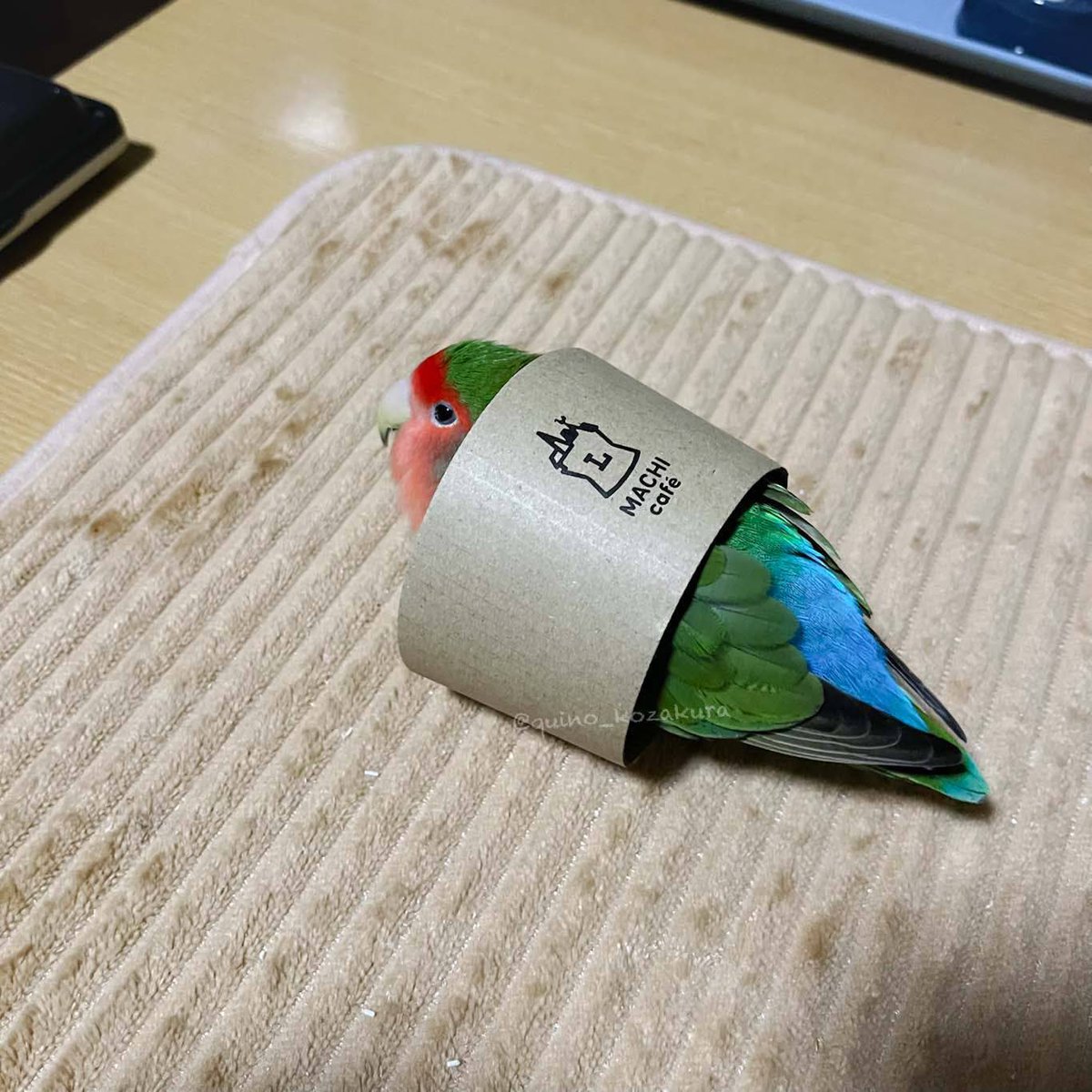 quino_kozakura's tweet photo. マチカフェ https://t.co/zSORT0Ghch