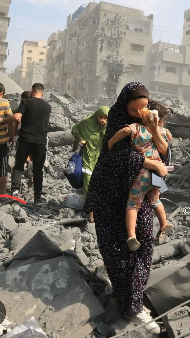 SZicchittu's tweet photo. @casualmentebird Ma veramente pensate che la vostra propaganda becera ci possa fare dimenticare per un solo secondo tutto questo? Fuori i Nazi sionisti da Gaza  #FreePalestineFromlsraelNOW #IsraelIsATerroristState #Netanyahu_A_criminal_of_warrr #assasini https://t.co/6llcTWkng5