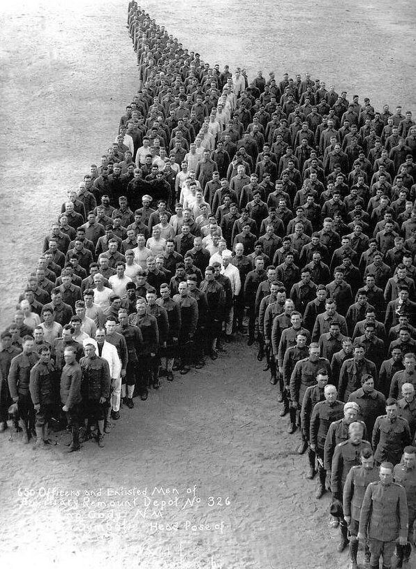 Tribute to 8 million horses who died during the First World War