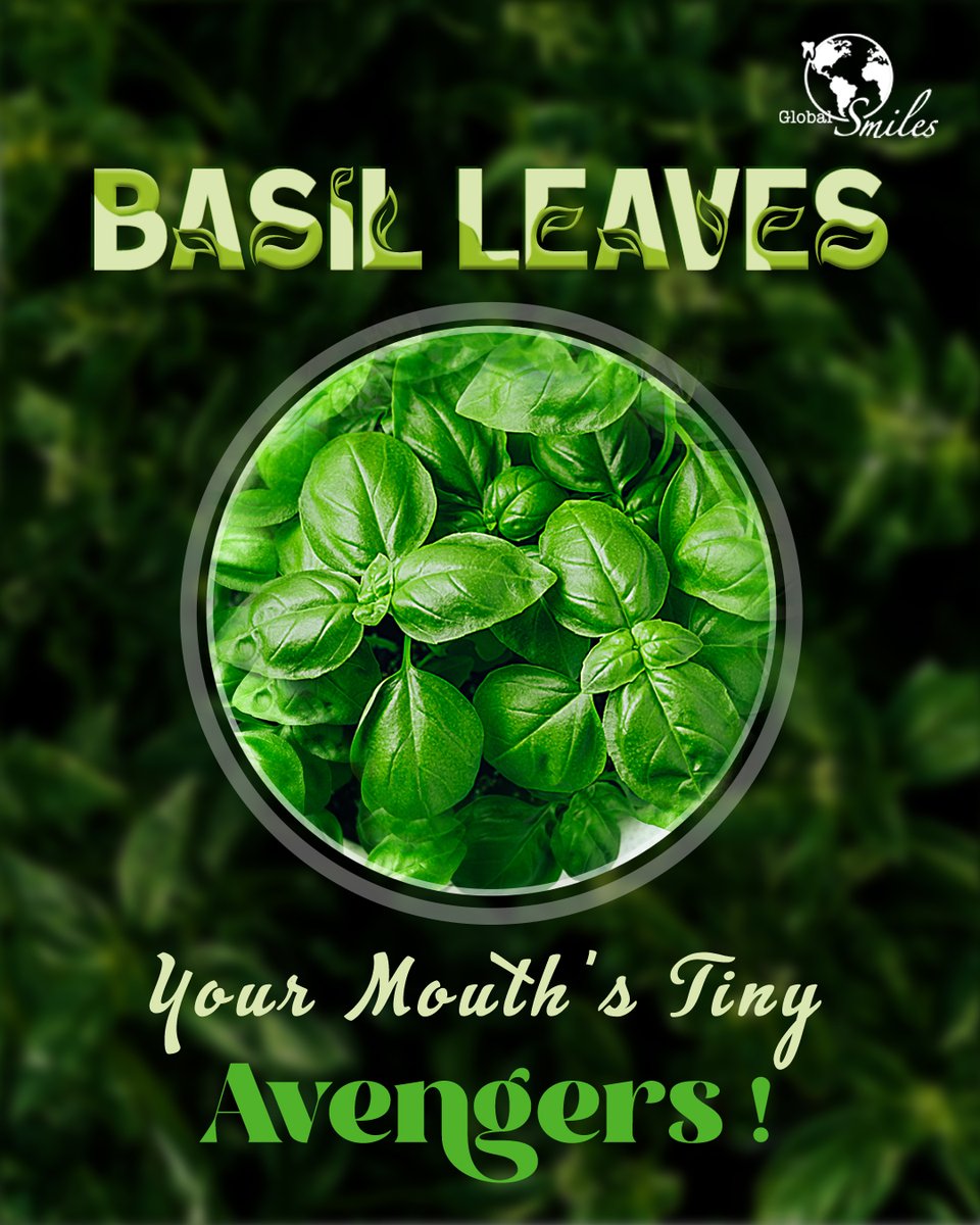 global__smiles's tweet image. Basil Leaves: Your Mouth&apos;s Tiny Avengers! 🌿😎🦸‍♂️

#funfactfriday #funfacts #funfactory #dentalfacts #friday #fridayvibes #smilewithconfidence #smilesecret #facts #basilleaves #oralcare #freshbreath #oralhealth #dentalwellness