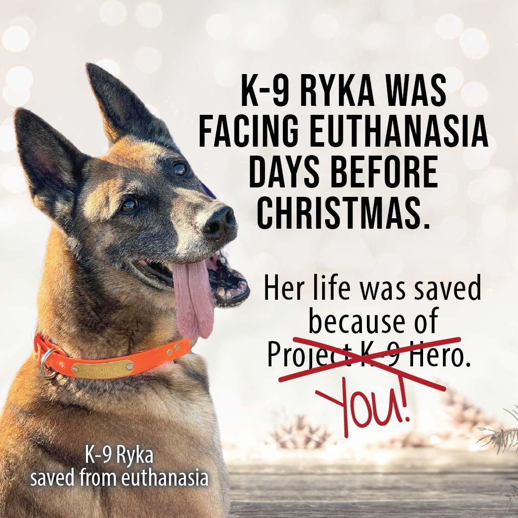 We want to thank everyone who supported Project K-9 Hero this year and allowing us to place 52 new heroes in our program. There is still time to make your 2023 year end Tax-Deductible donation! You may help us continue to save Heroes like K-9 Ryka at: projectk9hero.networkforgood.com/projects/21223…