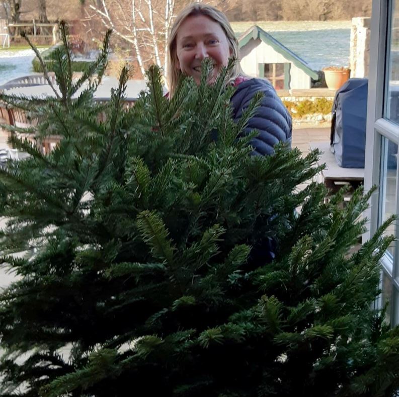 Real Christmas trees can be recycled at any of our Household Waste Recycling Centres. 🎄

Place it in the garden waste container, and it will be shredded and composted - just make sure you remove the decorations and lights first!

Find out more at northyorks.gov.uk/hwrc