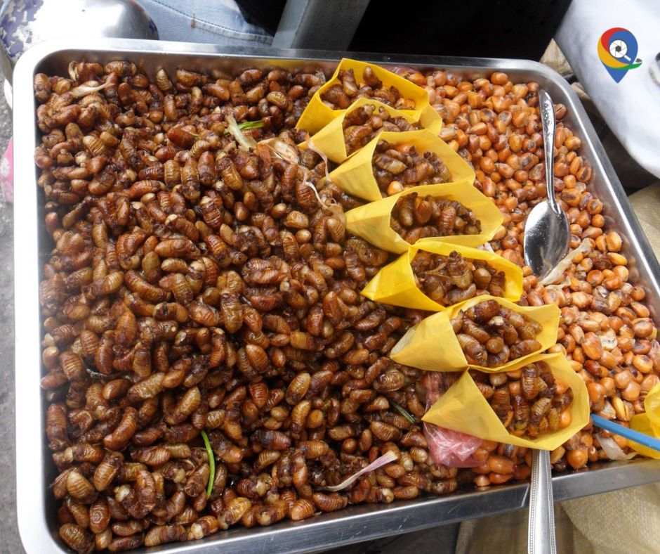 Quitoen360 tweet media