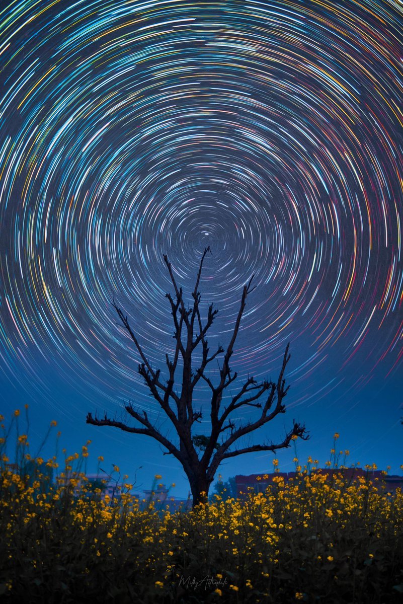 Muhammad Ibraheem in Pakistan shared this image last Friday and wrote: "I saw this tree in the mustard fields and fell in love. I made my composition and came back to make it reality. The image is a stack of 100 images with star Polaris in the center.” Amazing. Thanks!