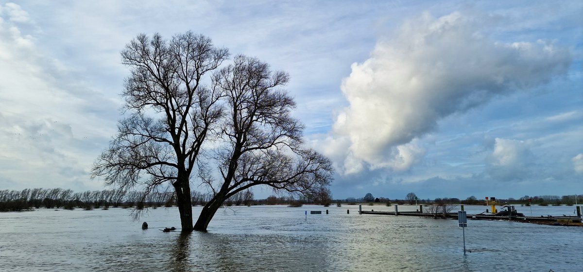 marcelbar8's tweet photo. #Hoogwater in de #IJssel tussen #Zwolle en #Deventer. Heb genoten van prachtige beelden.
F1 Verkeersbrug bij Zwolle/Hattem
F2 ondergelopen uiterwaarden bij #DenNul
F3 ondergelopen uiterwaarden bij #Wijhe
F4 het pontje naar het door water ingesloten #Fortmond vaart af en aan. https://t.co/cFDiJbY3vk