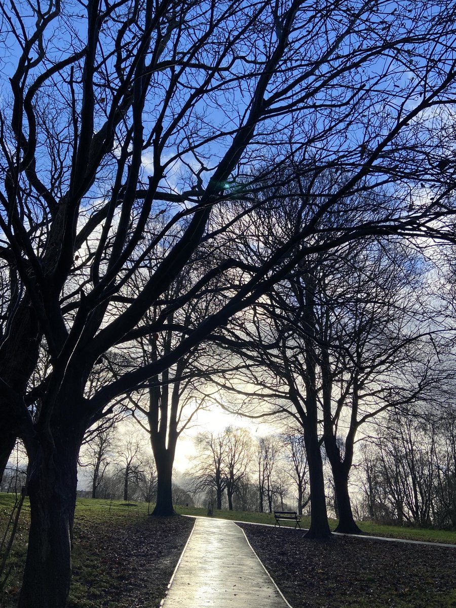 Jane Guy tweet media