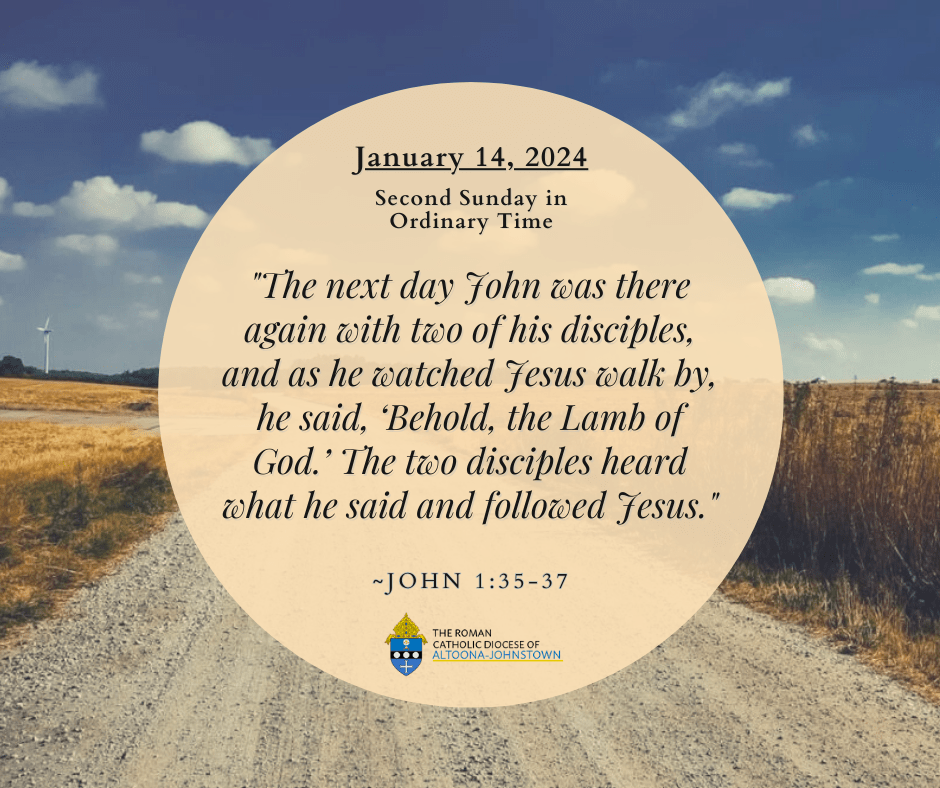 January 14, 2024 - Second Sunday in Ordinary Time

Today's Readings: bible.usccb.org/bible/readings…

The Proclaim! TV Mass is live today at 11:00 AM on WATM ABC 23 and will be rebroadcast tonight at 9:00 PM on Breezeline channel 9.