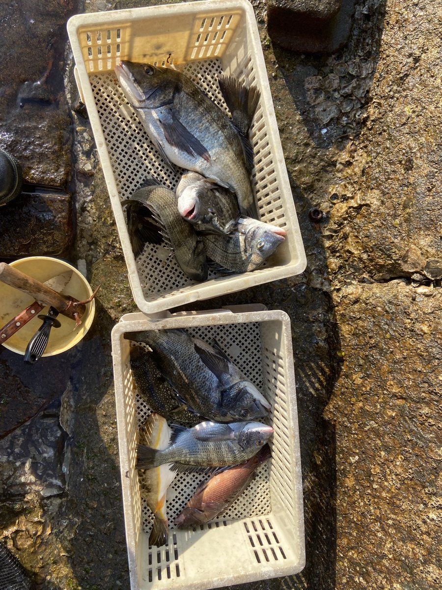 gotofishingNS's tweet photo. いい釣り納めができました！ https://t.co/QNBsCMtaxC