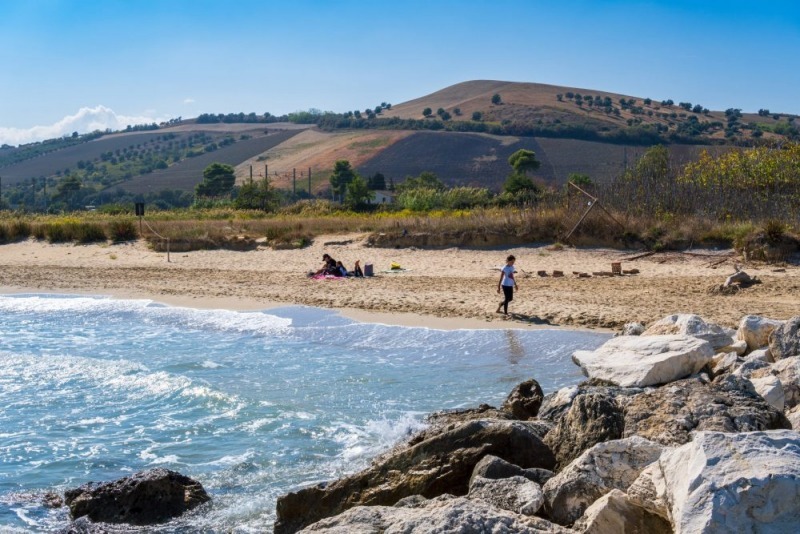 abruzzo24ore's tweet image. Taglio della Riserva del Borsacchio: Proteste del Comune e delle Associazioni Ambientaliste 

GUARDA QUI:  ift.tt/HSzLeIt