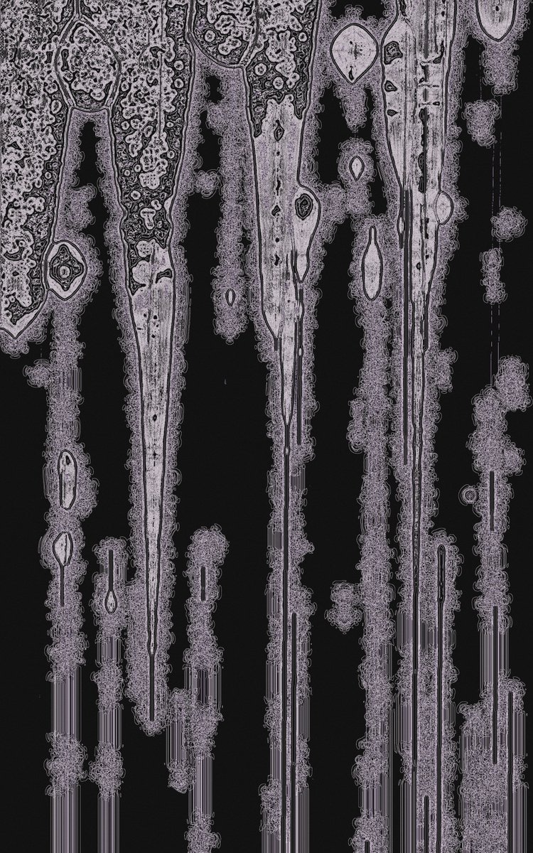 Olga_f2727's tweet image. ❄️g e ❄️
#touchdesigner