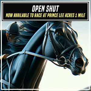 New Horse!

Open Shut is now available to race at Prince Lee Acres - 1 Mile. 

Which horse is your favourite?