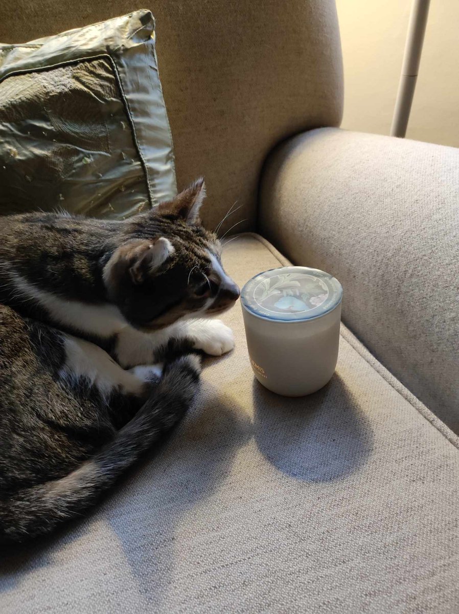 New post on Bonkers about Perfume! "Burning the end at both candles: Boujee Bougies Gilt and Elemis Regency Library - a "cold throw" mini-review, and coming up for air".  bit.ly/2i63hzT