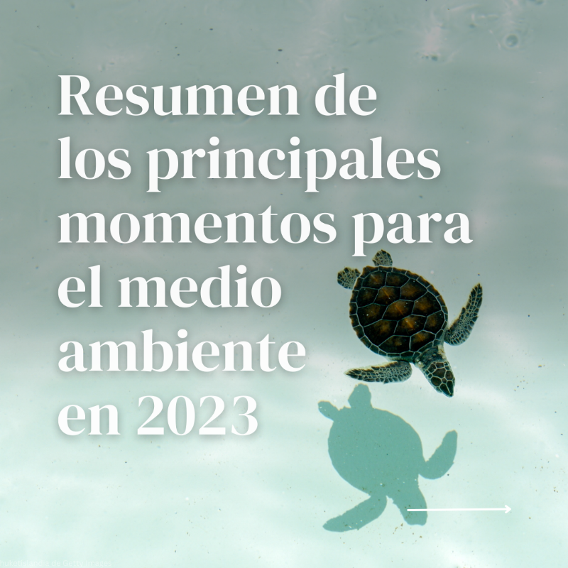 unep_espanol's tweet photo. 2023 fue un año difícil para nuestro planeta. 🌡️🚮 

Pero aún hay motivos para mantener la esperanza, aseguran quienes luchan por un futuro sostenible y #PorLaNaturaleza.

Descubre nuestro #Resumen2023 con los momentos más importantes para el medio ambiente ⤵️