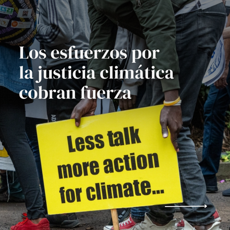 unep_espanol's tweet photo. 2023 fue un año difícil para nuestro planeta. 🌡️🚮 

Pero aún hay motivos para mantener la esperanza, aseguran quienes luchan por un futuro sostenible y #PorLaNaturaleza.

Descubre nuestro #Resumen2023 con los momentos más importantes para el medio ambiente ⤵️