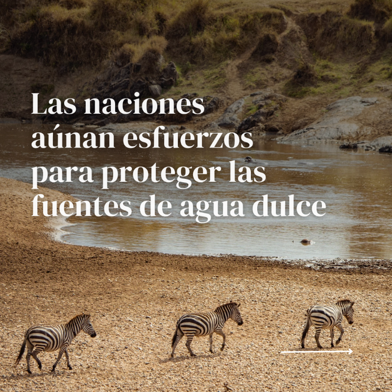 unep_espanol's tweet photo. 2023 fue un año difícil para nuestro planeta. 🌡️🚮 

Pero aún hay motivos para mantener la esperanza, aseguran quienes luchan por un futuro sostenible y #PorLaNaturaleza.

Descubre nuestro #Resumen2023 con los momentos más importantes para el medio ambiente ⤵️