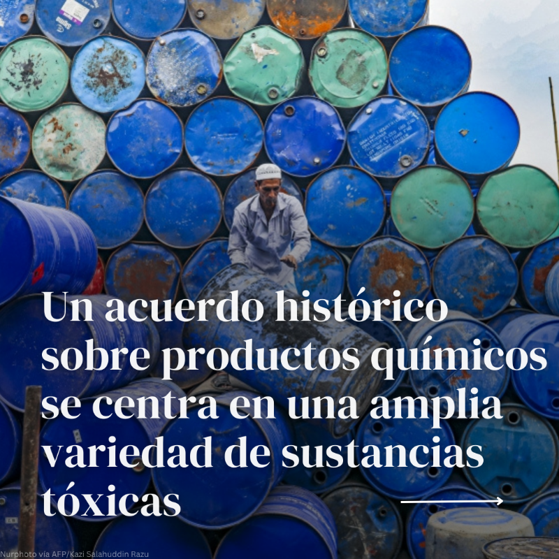 unep_espanol's tweet photo. 2023 fue un año difícil para nuestro planeta. 🌡️🚮 

Pero aún hay motivos para mantener la esperanza, aseguran quienes luchan por un futuro sostenible y #PorLaNaturaleza.

Descubre nuestro #Resumen2023 con los momentos más importantes para el medio ambiente ⤵️