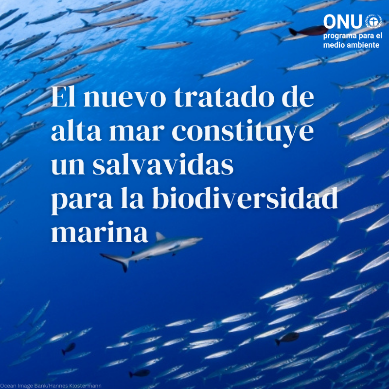 unep_espanol's tweet photo. 2023 fue un año difícil para nuestro planeta. 🌡️🚮 

Pero aún hay motivos para mantener la esperanza, aseguran quienes luchan por un futuro sostenible y #PorLaNaturaleza.

Descubre nuestro #Resumen2023 con los momentos más importantes para el medio ambiente ⤵️