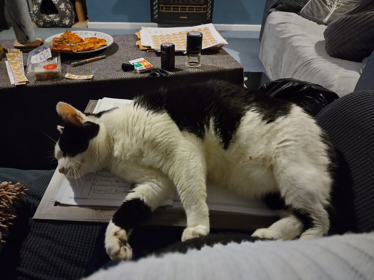 HecticTeacher's tweet photo. So Dre becomes a lap cat when there is a tray and marking on said lap.
#helpfulcat https://t.co/Og4lCKtUhg