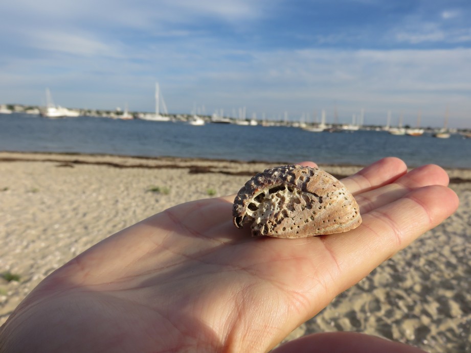 MI_TU's tweet image. Cape Code - Beach

amzn.to/3RXKJB6

bit.ly/2xSkntg

tu-mi.it/2024/01/cape-c…

#usa #capecode #childrenbeach  #adv

bit.ly/2MiMmFI

bit.ly/3y8HfAA