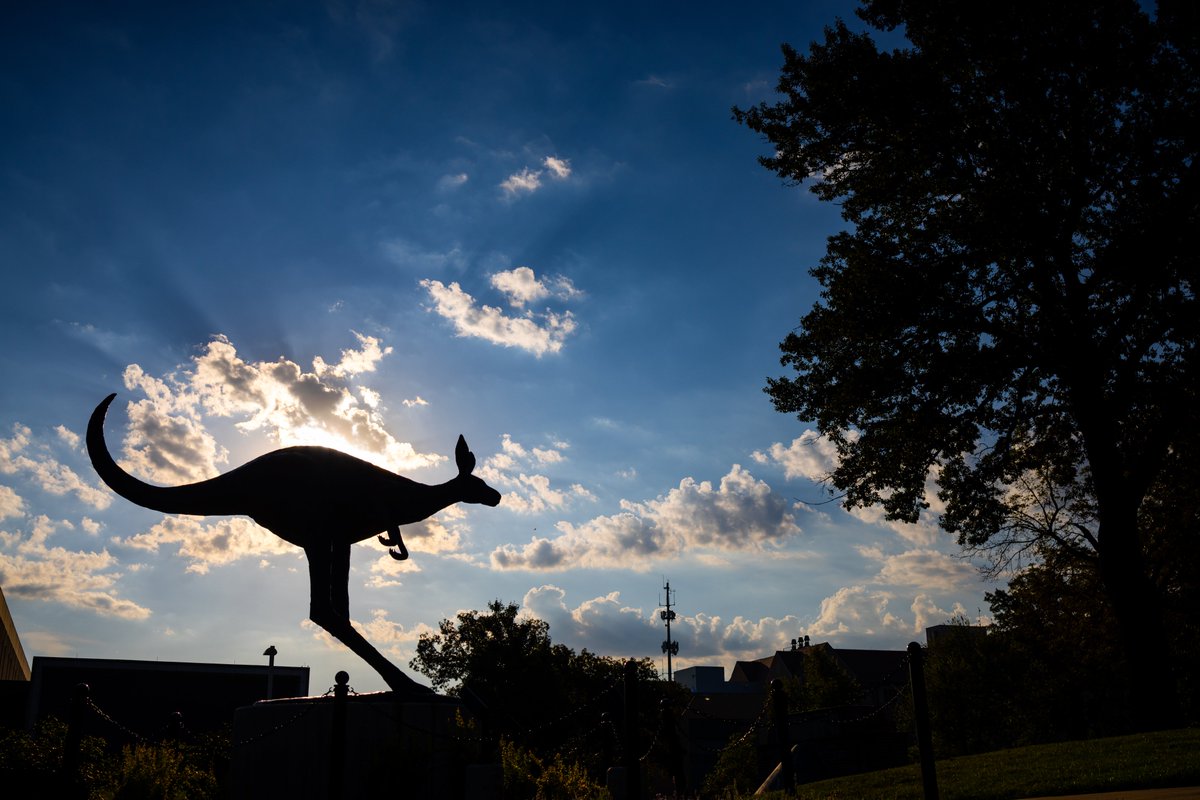 Our UMKC photographers captured some incredible moments this year. Here are our favorite images that show what it looks like to be part of Kansas City's university! Which one of our top four is your favorite? 🔽VOTE BELOW🔽