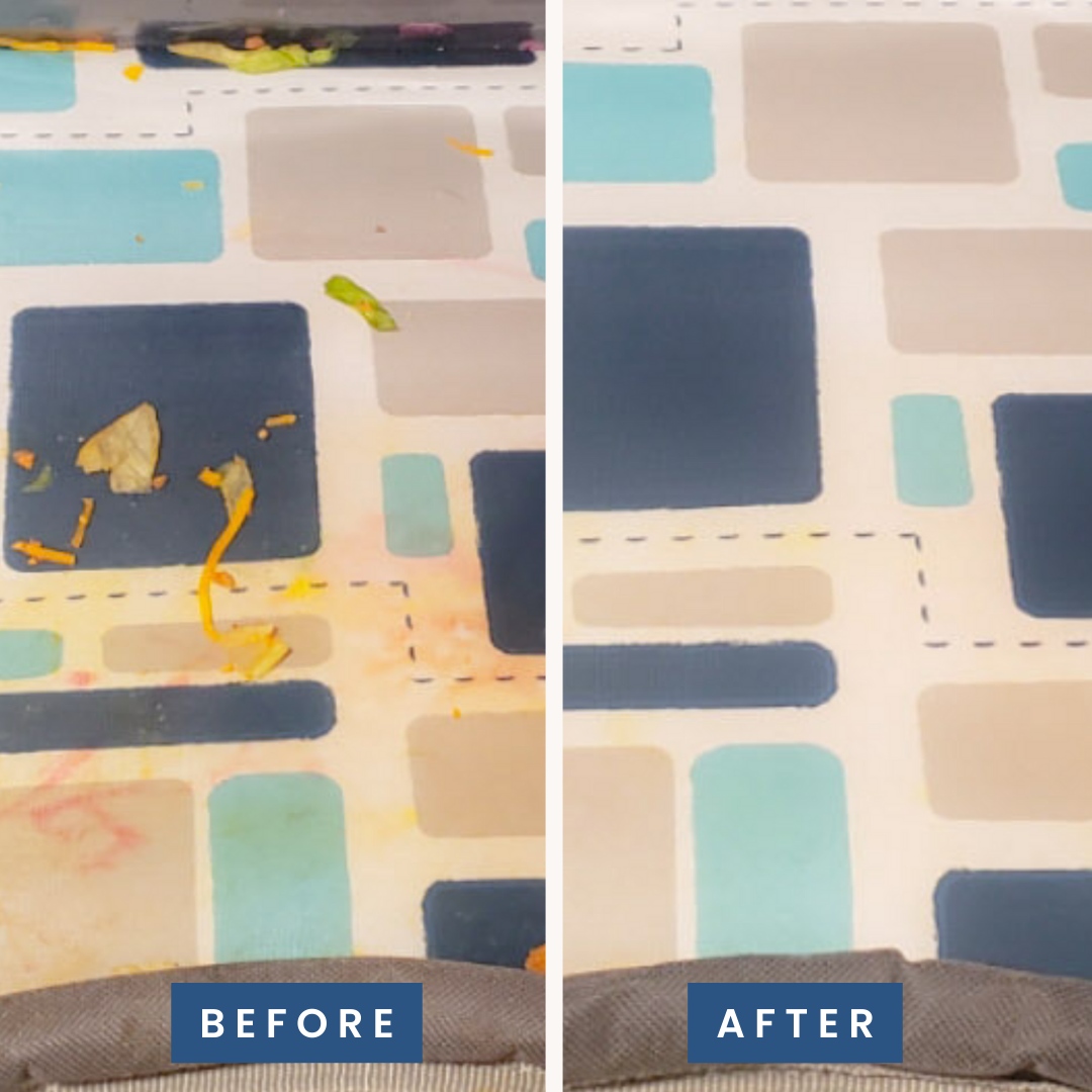 TrulyFreeHome's tweet image. 📢🍃 Let's talk about the power of Truly Free Everyday Cleaner! This amazing product, created with revolutionary plant-powered chemistry, 🌿⚗️ is here to tackle the toughest messes on hundreds of surfaces in your home. 🏠💪

#TrulyFree #EverdayCleaner #RefillableCleaners