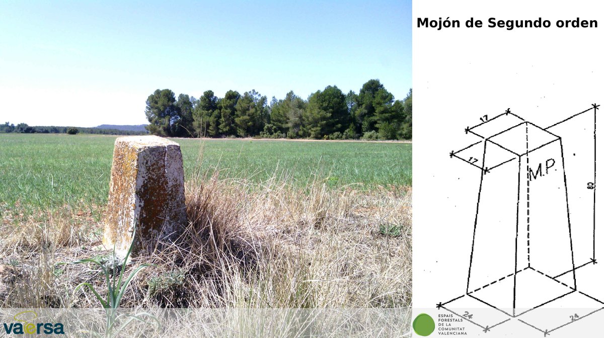 VaersaGva's tweet photo. #SabíasQue los #mojones definen los límites, en campo,de los #MontesUtilidadPública? Los de primer orden se colocan en puntos relevantes del perímetro   del #monte y son mayores que los de segundo orden, que se ubican al comienzo y fin y en cambios de dirección. #SomosVaersaGrupo https://t.co/j2vVCniBGk