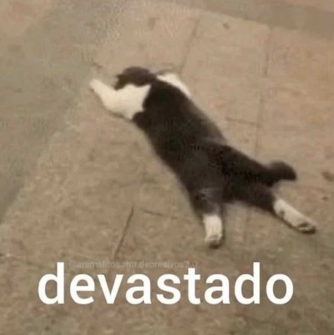 me voy a perder el stream de regreso de biyis