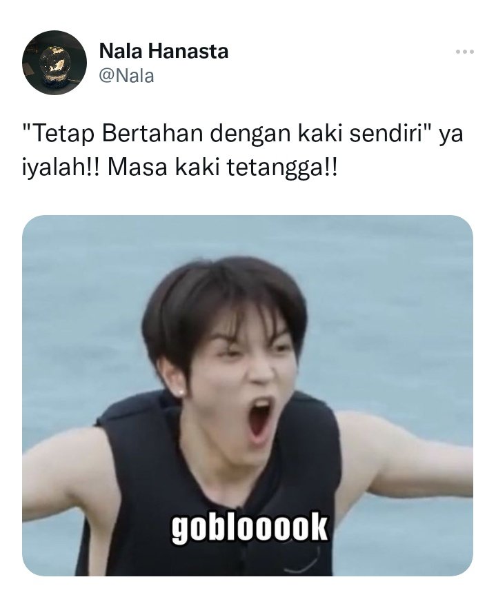 kpln_hl tweet media