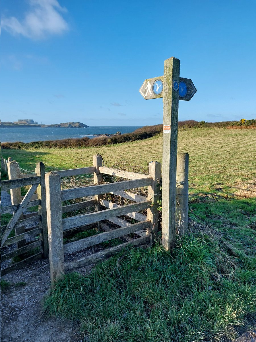 Coastal footpath, near Cemaes, Anglesey 

#FingerpostFriday #coastalpath #walking #Angelsey
