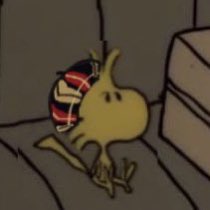 you won’t remember all my champagne problems