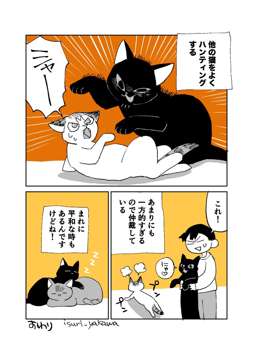 黒猫の話。#絵日記 #猫