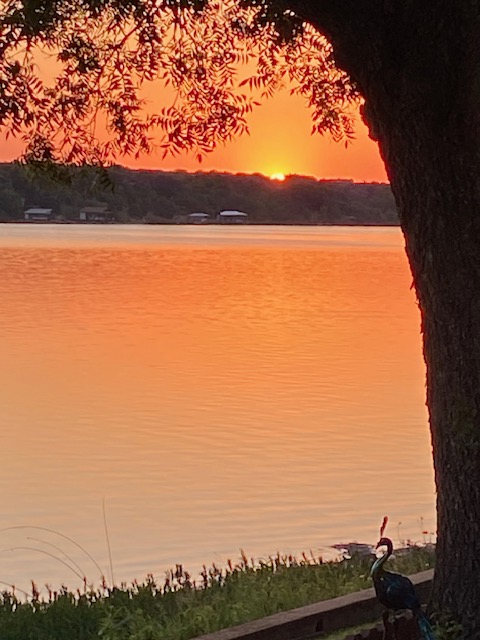 Gratitude sisterhoodofsuspense.wordpress.com/2023/12/29/gra…