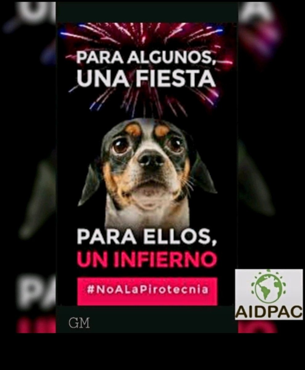 haraselaromo's tweet photo. ⛔️ Desde #AIDPAC 🇦🇷🌎💚 invitamos a tomar conciencia sobre el uso de la pirotecnia en estas fiestas. 🚫 🆘️
#NoALaPirotecnia
#AIDPAC 🇦🇷🌎💚
#MaltratoAnimal
#DerechoAnimal
#DerechoAmbiental
#SeresSintientes
#LeySintientes
#ActosDeCrueldad
#ReformaLey14346
#TrastornoAutista https://t.co/861NxeBxeC