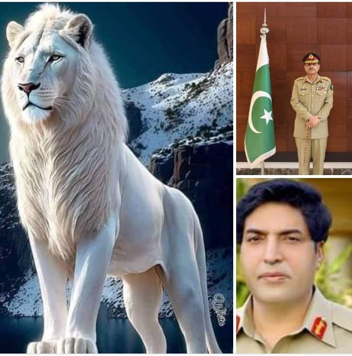 Arshadalia97873's tweet photo. @ShoukatZardari @AseefaBZ #JusticeDenied
#WeRejectHighCourtDecision
#Mdcatleaks 
#justicedenied
#supremecourtofpakista
پہلے فیصلہ غلط دیا پیسہ لیکر اسکا ثبوت یہ ہے کہ شارٹ آ رڈر پر چڑھ کر بیٹھ گیا جسٹس تاکہ بچے سپریم کورٹ نا جا سکیں یہ ہے پاکستان https://t.co/uNb7BpVsQn