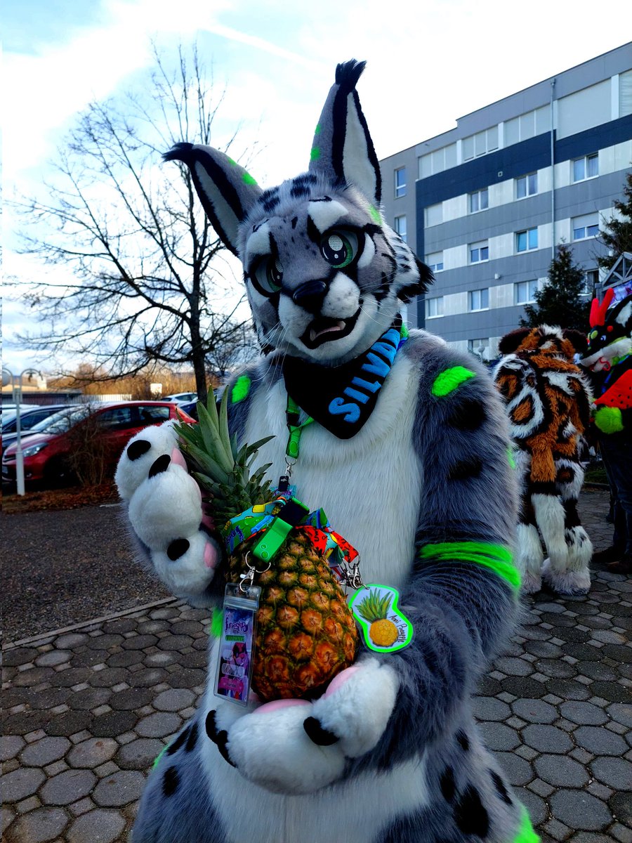 Knuuudeln mit @silvan_lynx auf der #furvester