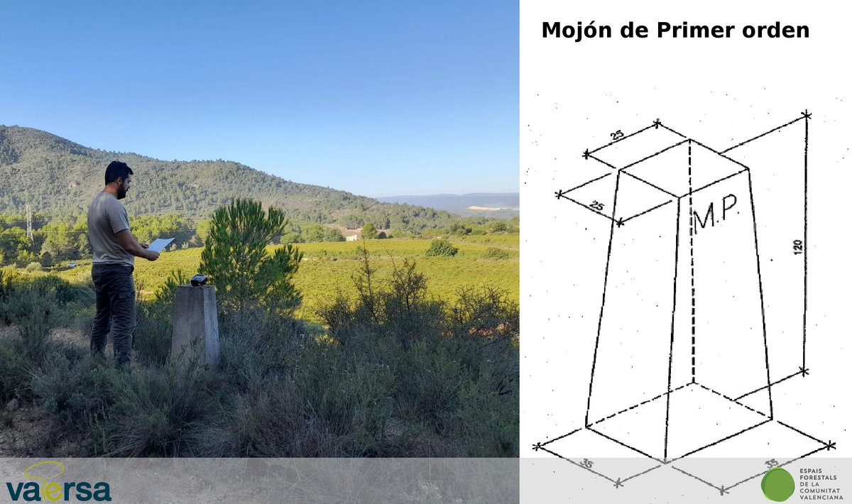 VaersaGva's tweet photo. #SabiesQue les #fites definixen els límits, en camp, dels #ForestsUtilitatPública? Els de primer ordre es   col·loquen en punts rellevants del perímetre de la #forest i són majors que els de segon ordre, que se situen al començament i fi, i en canvis de direcció. #SomVaersaGrup https://t.co/fJuua5C2QI