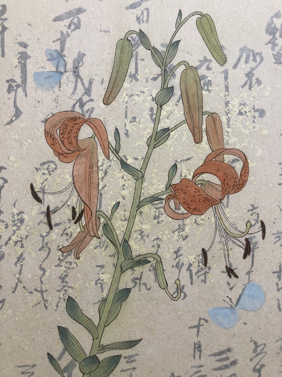 今年は自分の作品を描くより、古い唐絵とか、中国絵画とかを数と質でとにかく見る勉強の方が多かった気がします。
考えて、考えすぎてしまうことも多かったです。
来年はもうちょっと軽い気持ちで作品を描いていきたいです。 
