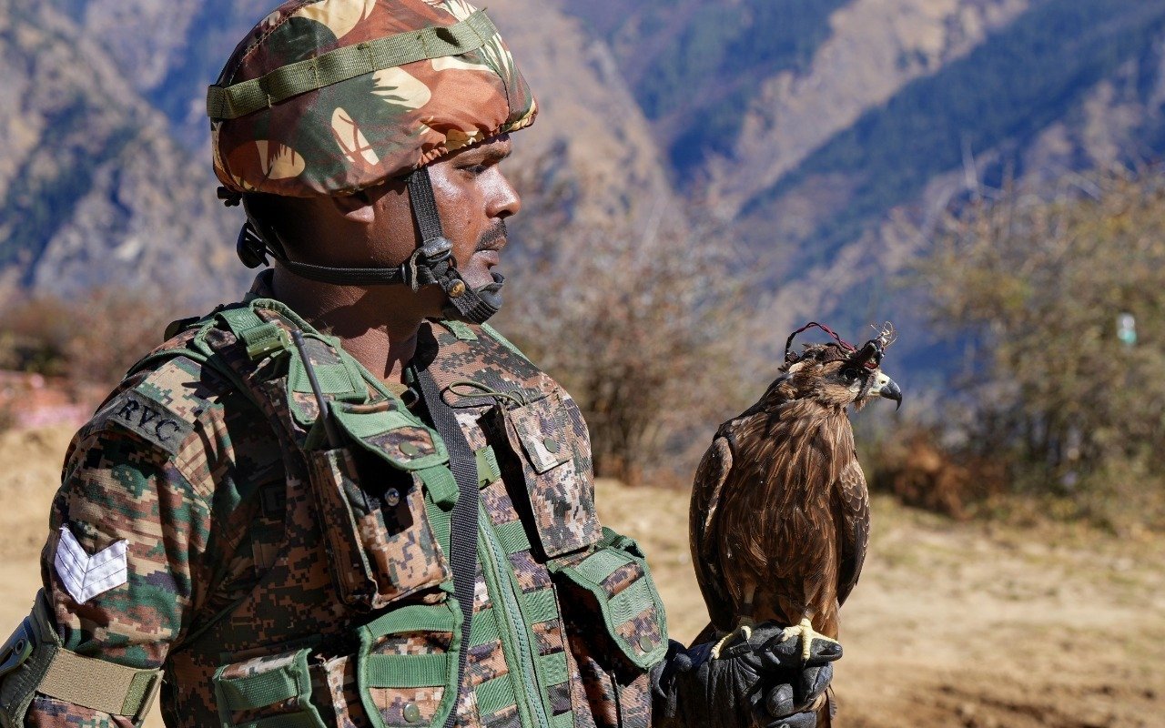Indian Army Unveils Feathered Surveillance Agents: Kites Take Flight for Anti-Drone Warfare