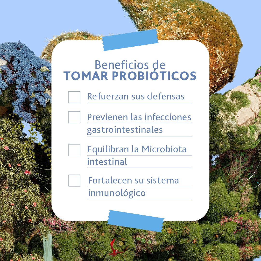 Hay varios motivos que pueden alterar la microbiota intestinal de los más peques 🤔 Por suerte, los probióticos pueden ayudarles a recuperar su equilibrio.

#Lactoflora Protector Intestinal Infantil es ideal para cuidar la Microbiota en invierno 💙 ¡Consíguelo en el link de la