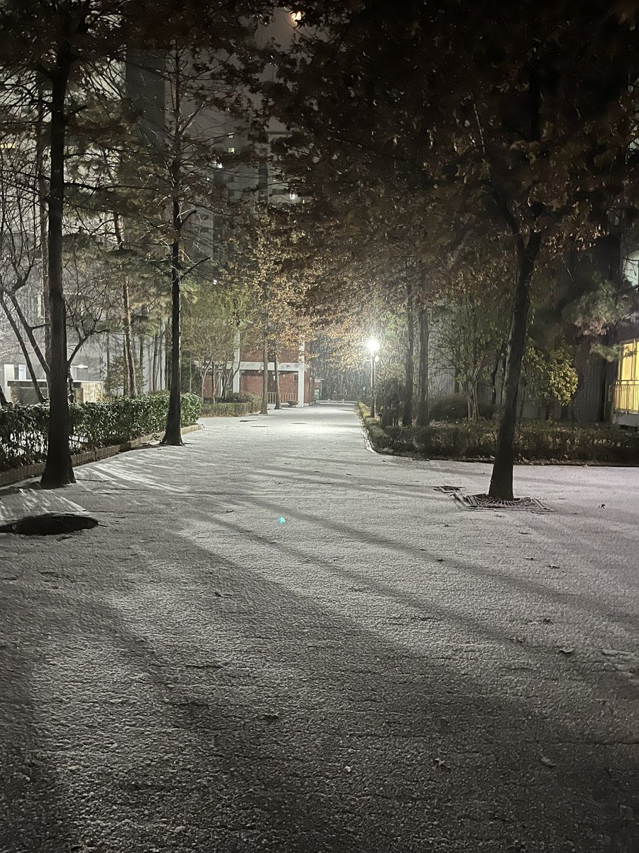 ewoom's tweet image. #snow