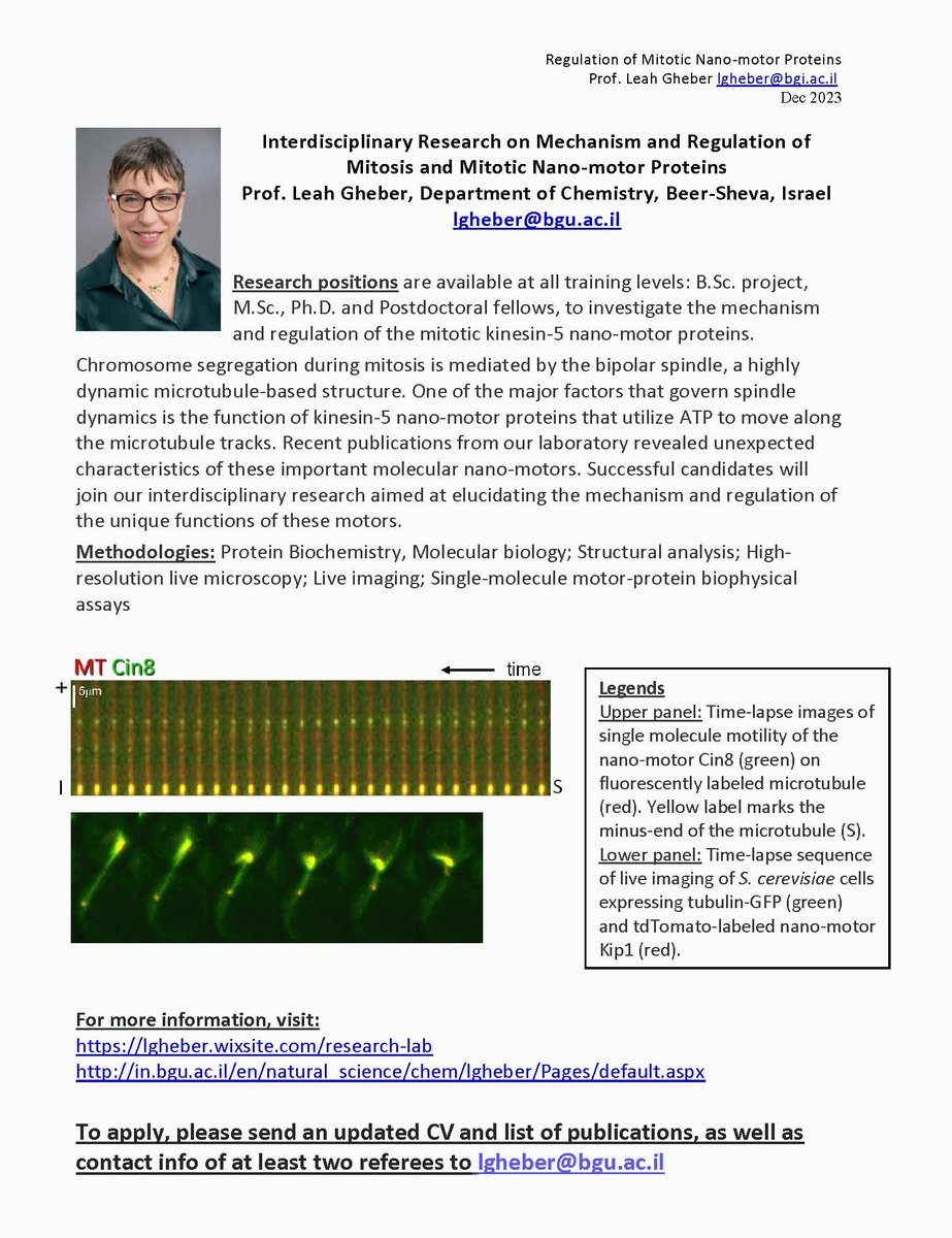 Leah Gheber (@lgheber) on Twitter photo Open Research Positions !!
Interdisciplinary Research on Mechanism and Regulation of Mitosis and Mitotic Kinesin Motor Proteins!! Prof. Leah Gheber, Department of Chemistry, Beer-Sheva, Israel. Please send your CV, list of publications and research statement to lgheber@bgu.ac.il Open Research Positions !!
Interdisciplinary Research on Mechanism and Regulation of Mitosis and Mitotic Kinesin Motor Proteins!! Prof. Leah Gheber, Department of Chemistry, Beer-Sheva, Israel. Please send your CV, list of publications and research statement to lgheber@bgu.ac.il
