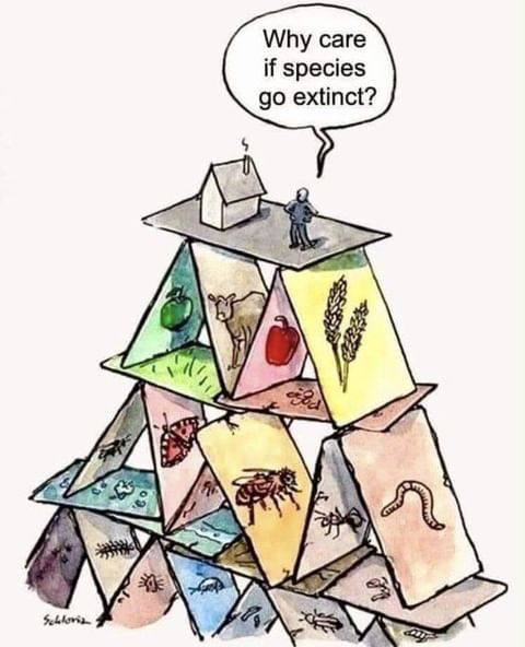 Greenpeace's tweet photo. “Species are like a house of cards. You can’t just take one card out of the deck and not expect the deck to crumble.”

— Stuart Pimm, Professor of Conservation Ecology, Duke University https://t.co/Mz4CJO0dDc