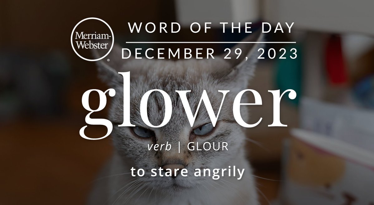 MerriamWebster's tweet photo. The #WordOfTheDay is ‘glower.’
https://t.co/e699HkczjX https://t.co/Rgr54F6YDN
